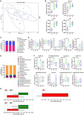 Effects of Phragmites australis Shoot Remainder Silage on Growth Performance, Blood Biochemical Parameters, and Rumen Microbiota of Beef Cattle